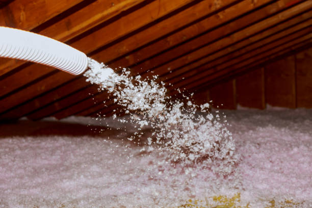 Best Residential Insulation in Orland Hls, IL