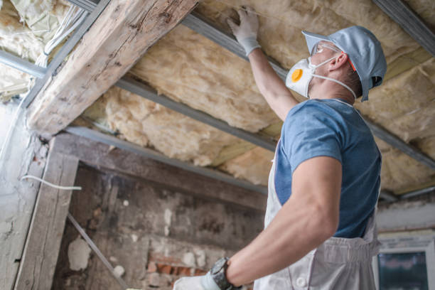 Best Commercial Insulation in Orland Hls, IL