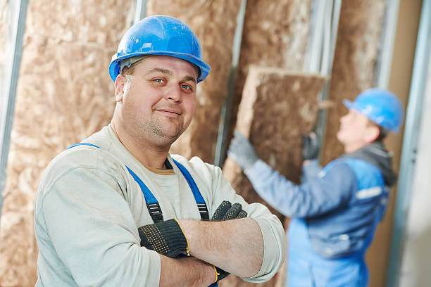 Best Eco-Friendly Insulation in Orland Hls, IL